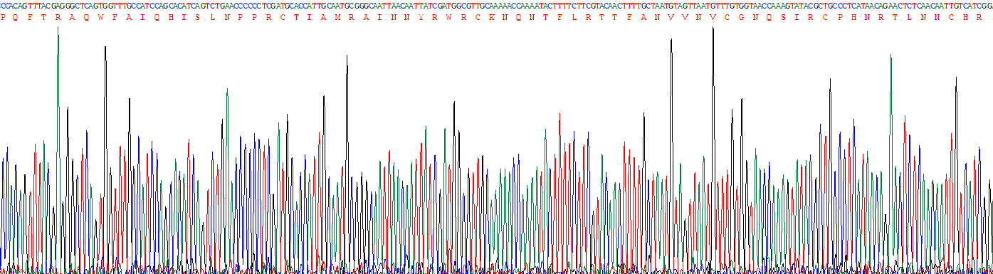 核糖核酸酶A3(RNASE3)重組蛋白