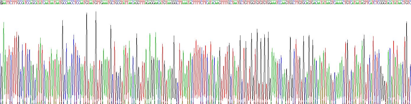 核糖核酸酶A3(RNASE3)重组蛋白