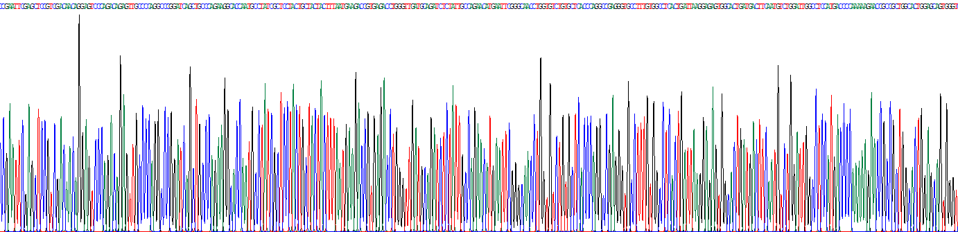 再生胰島衍生蛋白1α(REG1a)重組蛋白