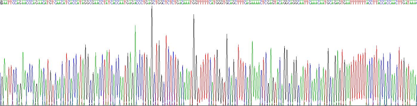 类粘蛋白2(ORM2)重组蛋白