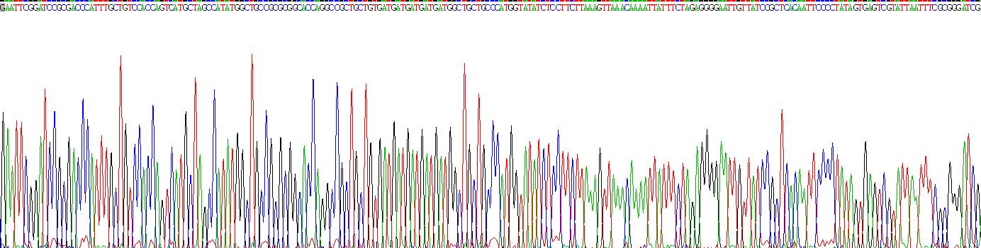 CD7分子(CD7)重组蛋白