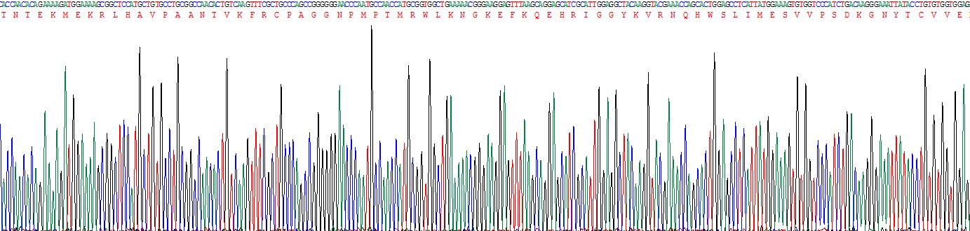 成纤维细胞生长因子受体2(FGFR2)重组蛋白