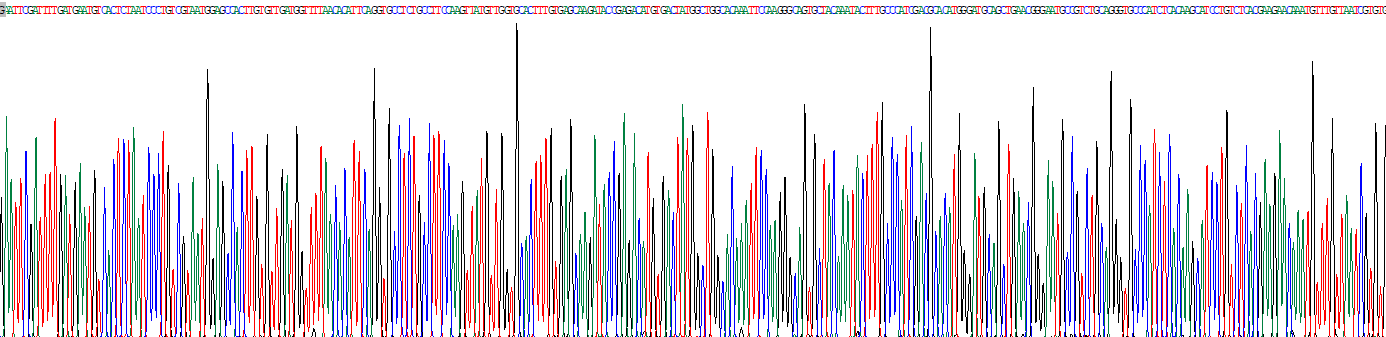 多功能蛋白聚糖(VCAN)重组蛋白