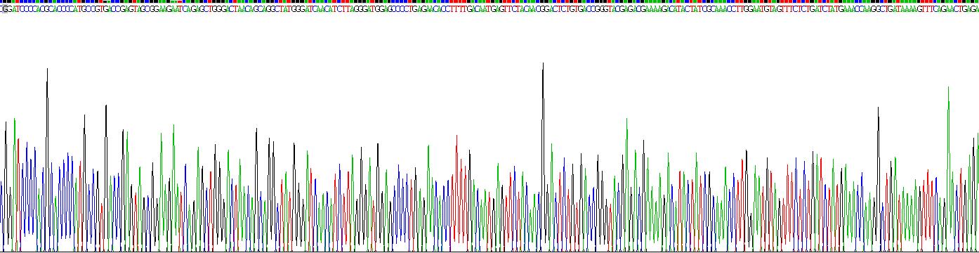 补体成分9(C9)重组蛋白