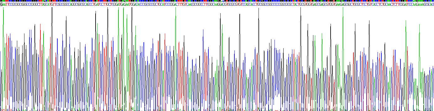 轴突生长诱向因子1(Ntn1)重组蛋白