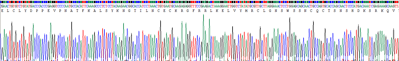 白介素2受體α(IL2Ra)重組蛋白