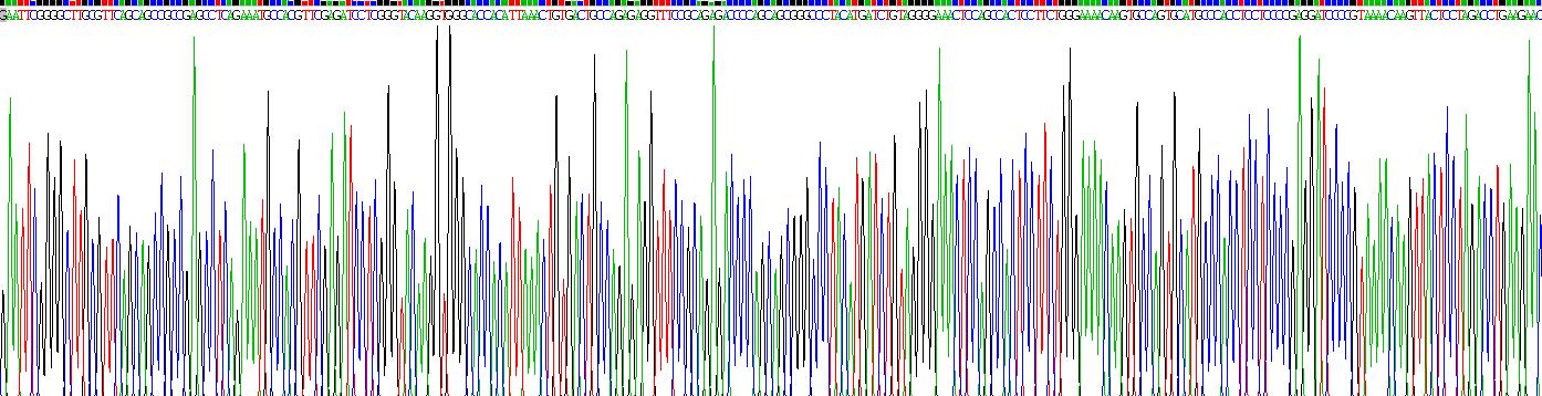 白介素2受体α(IL2Ra)重组蛋白