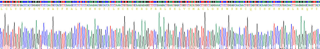 白介素2受體α(IL2Ra)重組蛋白
