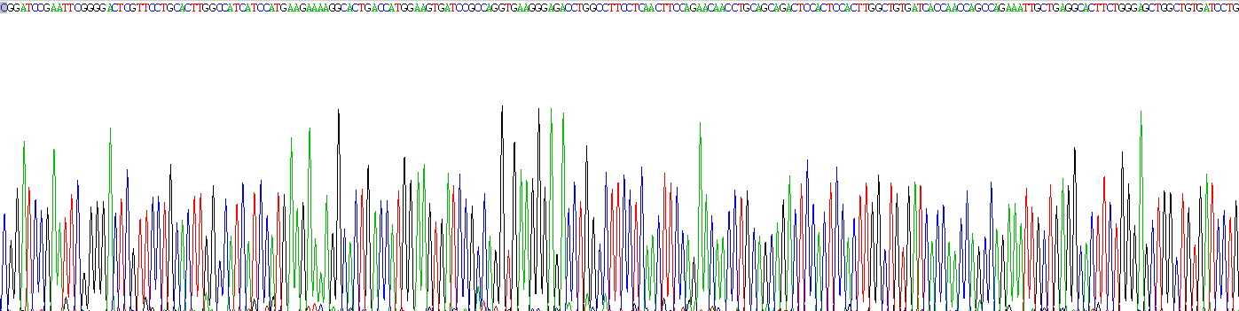 核因子κB抑制因子α(IkBa)重组蛋白