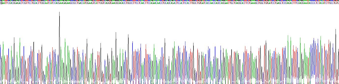 核因子κB抑制因子α(IkBa)重组蛋白