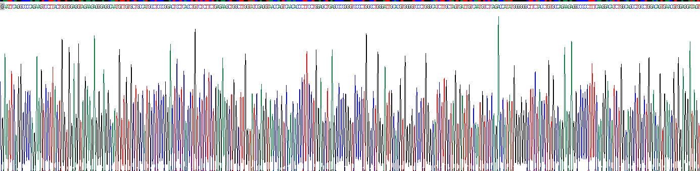 CD19分子(CD19)重组蛋白
