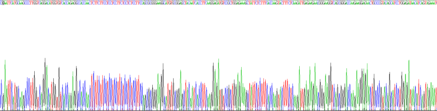 成纤维细胞生长因子10(FGF10)重组蛋白