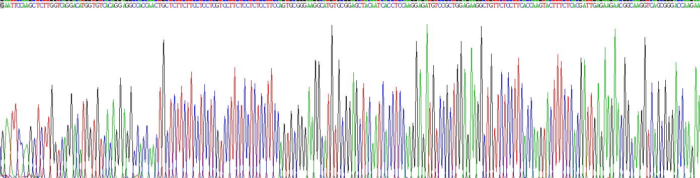 成纤维细胞生长因子10(FGF10)重组蛋白