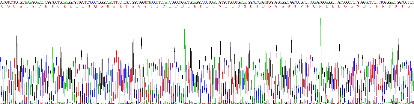 纖維膠凝蛋白2(FCN2)重組蛋白