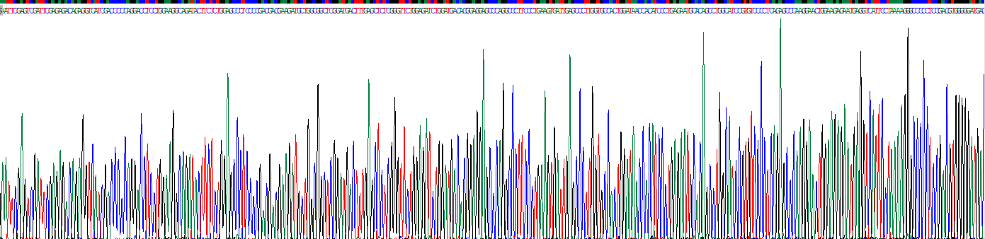 多配体蛋白聚糖4(SDC4)重组蛋白