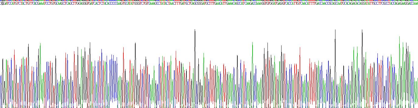 膜聯(lián)蛋白A2(ANXA2)重組蛋白