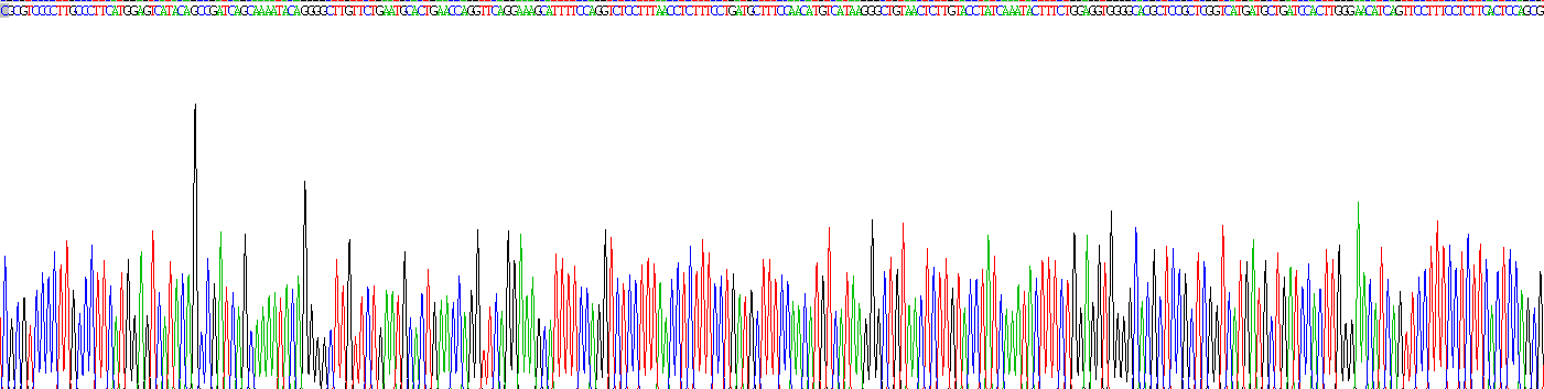 膜联蛋白A2(ANXA2)重组蛋白