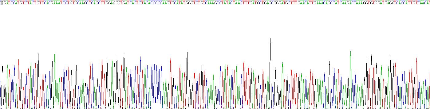 膜联蛋白A2(ANXA2)重组蛋白