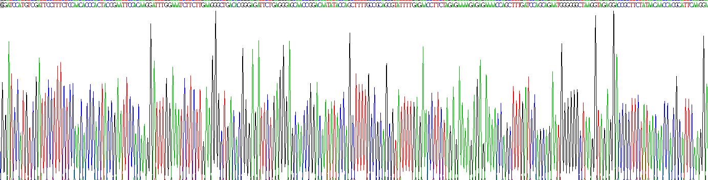 精子蛋白17(Sp17)重组蛋白