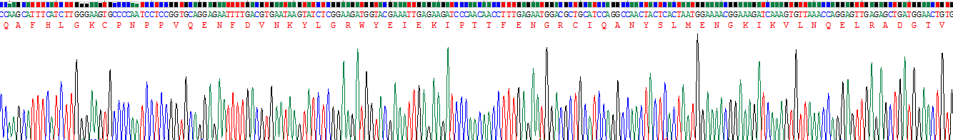 載脂蛋白D(APOD)重組蛋白
