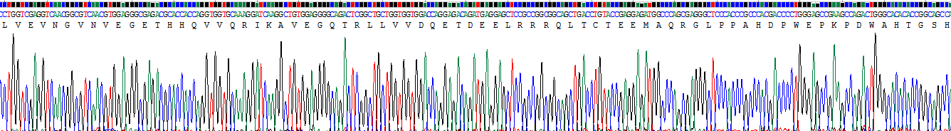 鈉氫交換調(diào)控因子2(SLC9A3R2)重組蛋白