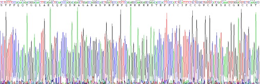 鐵調(diào)素(Hepc)重組蛋白