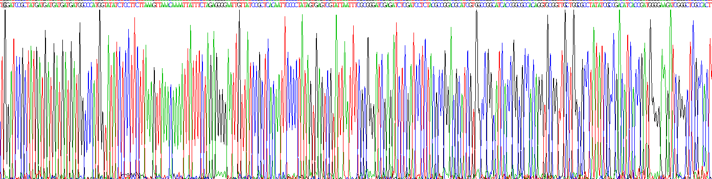 白介素33(IL33)重組蛋白