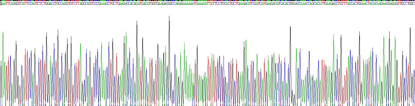 白介素35(IL35)重組蛋白