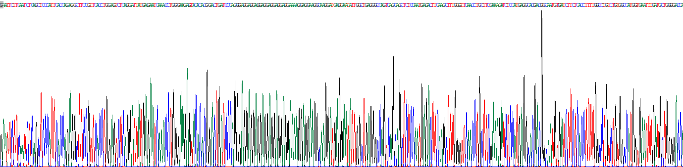丝氨酸蛋白酶抑制剂A10(SERPINA10)重组蛋白