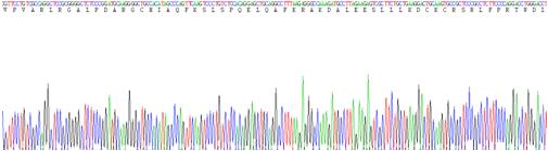 白介素28B(IL28B)重组蛋白