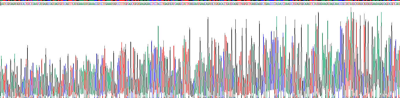 转铁蛋白(TF)重组蛋白