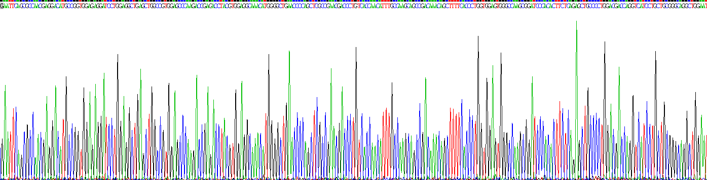 维甲酸X受体α(RXRa)重组蛋白