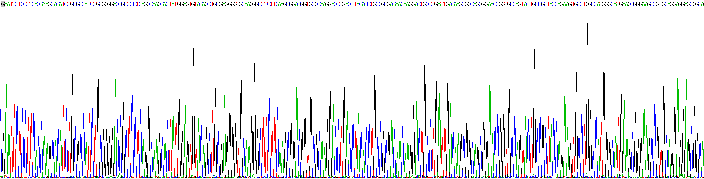 维甲酸X受体α(RXRa)重组蛋白