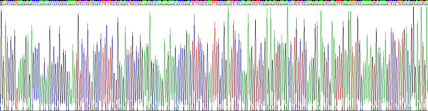 高遷移率族框蛋白2(HMGB2)重組蛋白