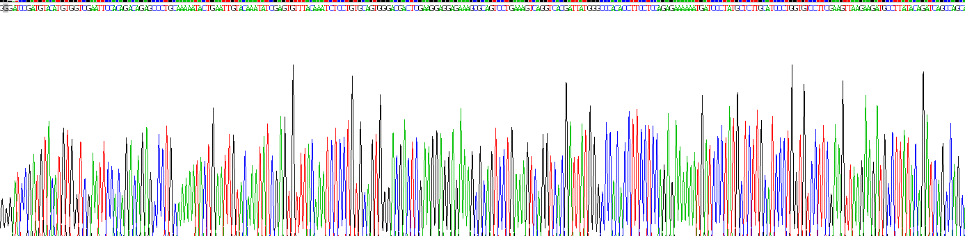 整合素α8(ITGa8)重组蛋白