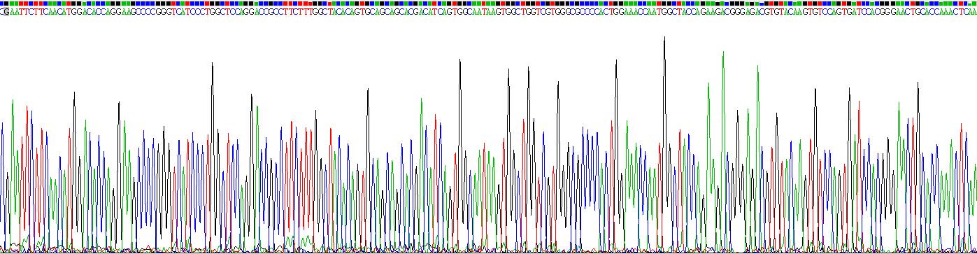 整合素α11(ITGa11)重组蛋白