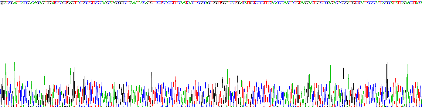 骨形成蛋白15(BMP15)重組蛋白