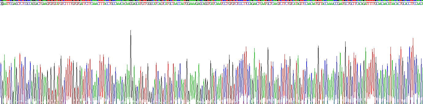 激活素A受體ⅠC(ACVR1C)重組蛋白