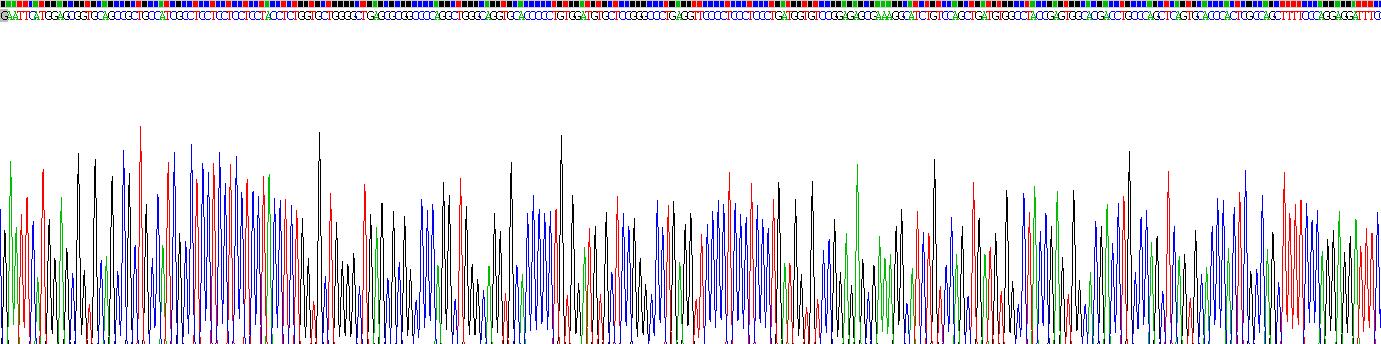 Ⅺ型胶原α2(COL11a2)重组蛋白