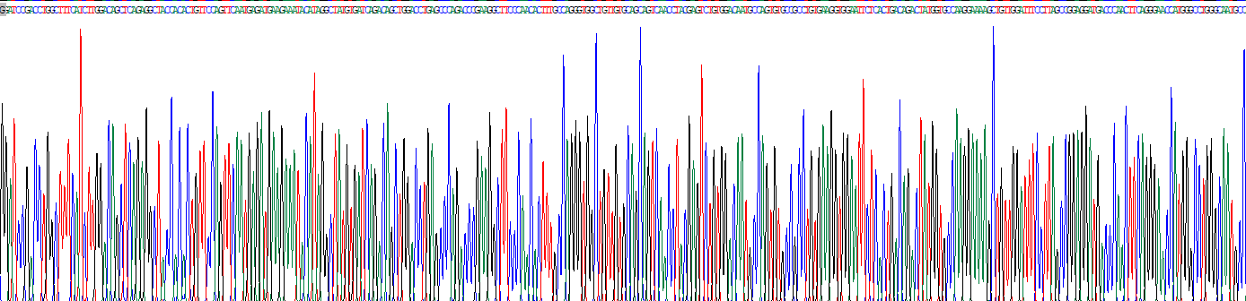Ⅵ型胶原α3(COL6a3)重组蛋白