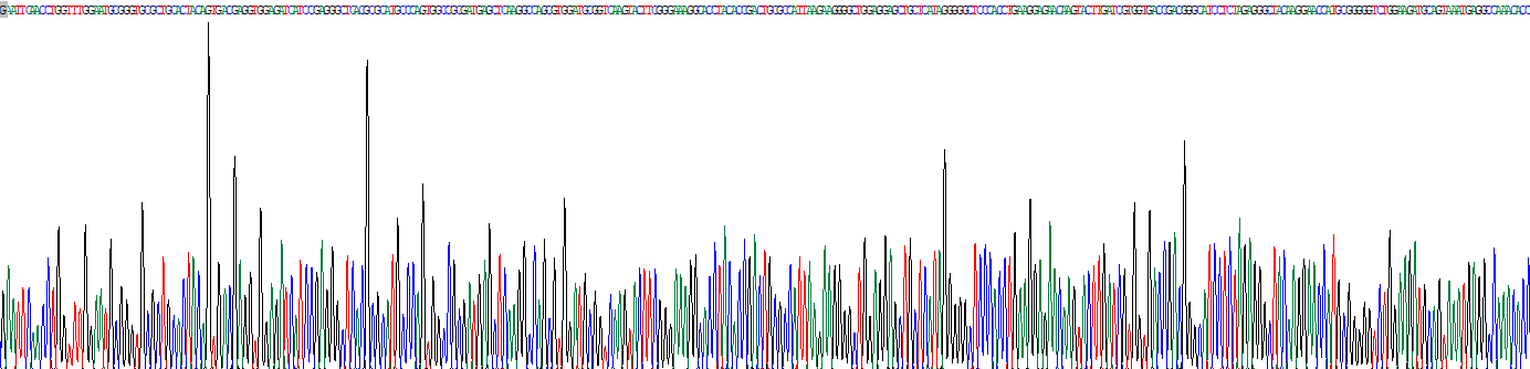 Ⅵ型膠原α1(COL6a1)重組蛋白