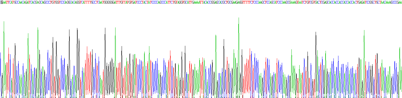 神經(jīng)調(diào)節(jié)素4(NRG4)重組蛋白