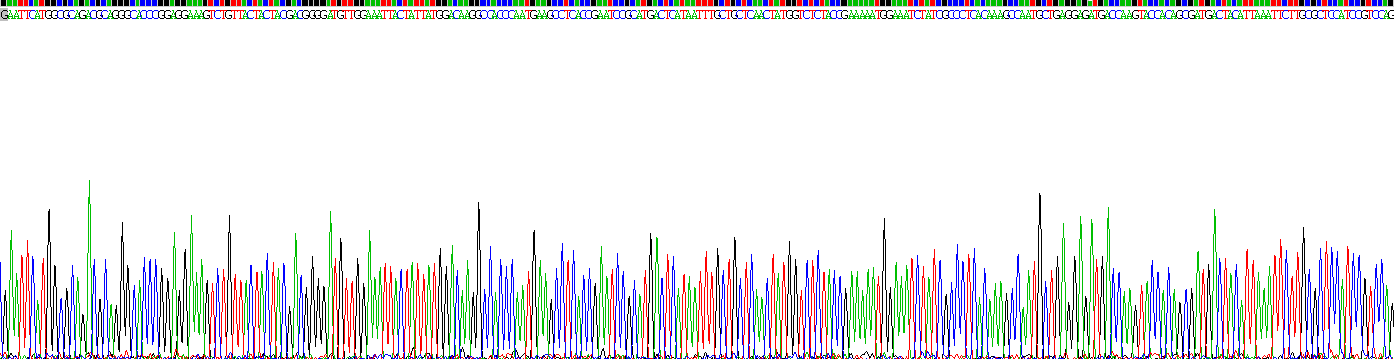 組蛋白脫乙?；?(HDAC1)重組蛋白
