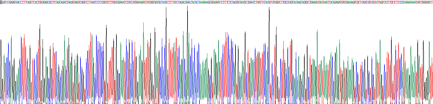 泛素特異性肽酶7(USP7)重組蛋白