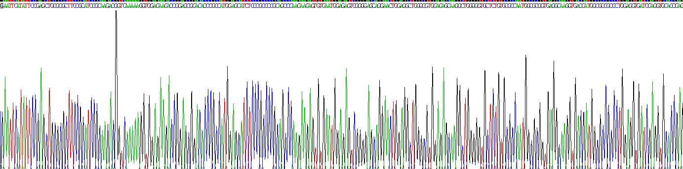 5-羟色胺受体1A(HTR1A)重组蛋白