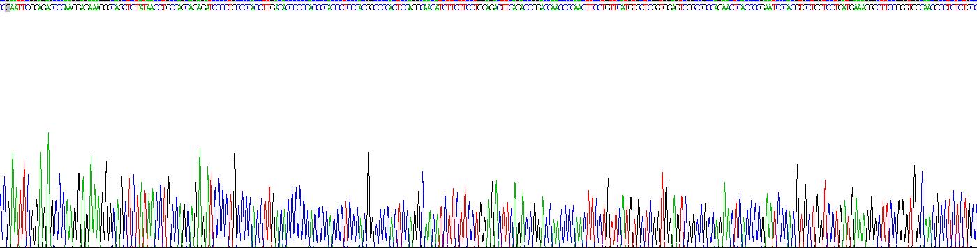 α1,4-半乳糖基轉(zhuǎn)移酶(a4GALT)重組蛋白