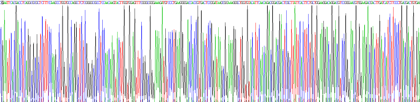 粘附调节分子1(ADRM1)重组蛋白