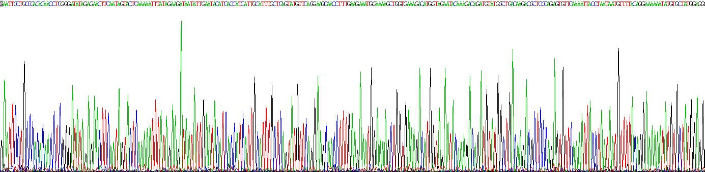 α白蛋白(AFM)重組蛋白