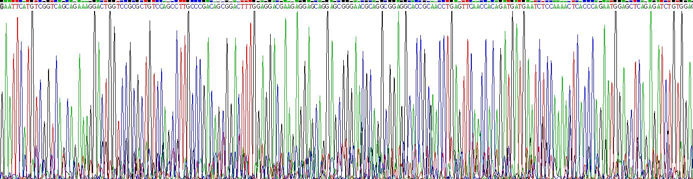 α白蛋白(AFM)重组蛋白