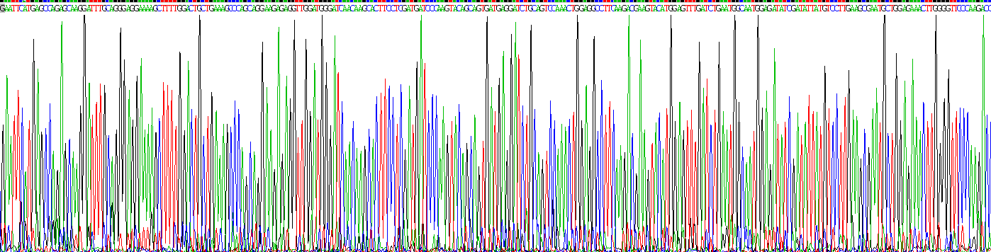 离子化钙结合适配分子1(AIF1)重组蛋白